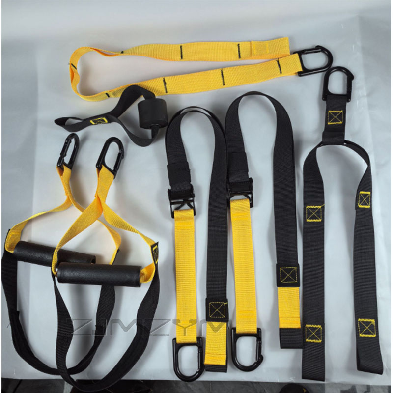 Suspension Trainer Straps Kit  - đánh giá và giá Suspension Trainer Trx